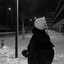 DUHOTA