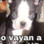 No vayan a Egipto Gaming