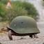 Turtle Warrior