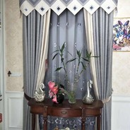 981皖L丶帘 哥【特遣队】