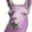 Lellama