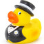 ElegantDuck17