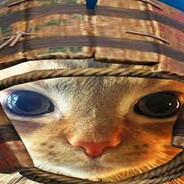 Primitive Cat
