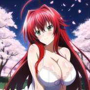 High School DxD