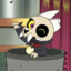 Stela_cat