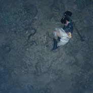 龙利鱼与绿鲤鱼与驴