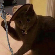 DevHunterEU