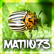 matii073