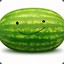 happy melon