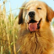 小丸子吃大西瓜