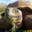 galapagos tortoise