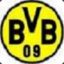 Nur der BVB