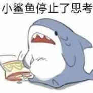 死亡如风 常伴喵声