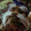 Sir Didymus