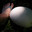 SCP-BigEgg avatar