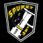 SPUNKYZAVR