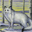 Parcel Fox