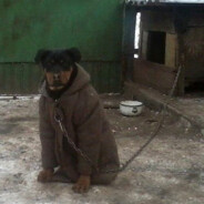 tvar1na - steam id 76561199138610663