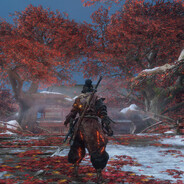 Avatar snapshot
