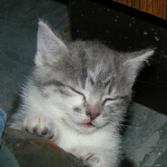 ollie <3