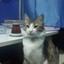 Mr.Thomas