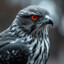Real Hawk