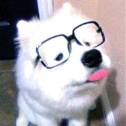 一逃课就被点名