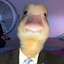 Mr. Duck