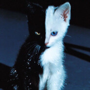 Avatar snapshot