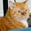 Carmie