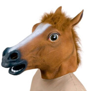 胡志明**干燥鸡