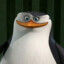 penguin_skipper