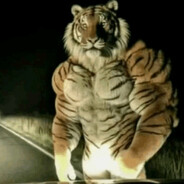 tigr polosaty's avatar