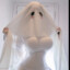 Fesse plate