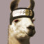 Llama_Drama