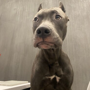 Арбузный ебака