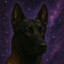 rexxy :)