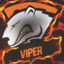 ViPeR