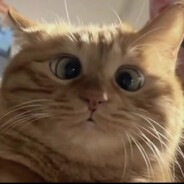 超级无敌黑暗暴龙