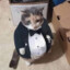 gatoGOOD
