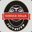 The Ginger Ninja&#039;s Shadow