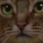 meowmer the mewmew