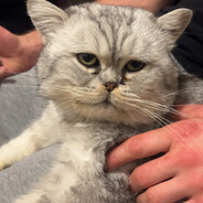 PakiTOoO - steam id 76561199247682810