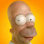 SillyHomer58