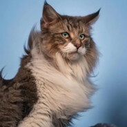 在线单杀丈母娘