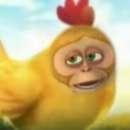 狗熊岭第一农场主鸡毛