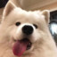 呜呼
