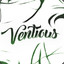 Ventious