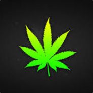 Noise | GG4T