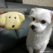 坨子是捏了又捏